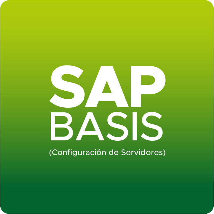 academia-sap-basis