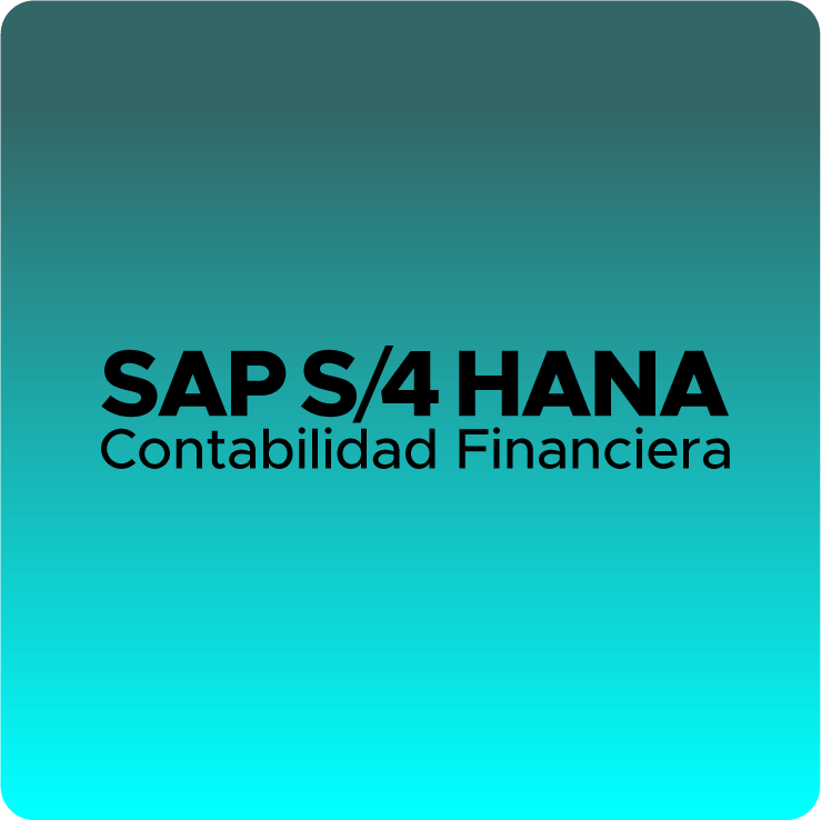 SAP S4 HANA Contabilidad Financiera