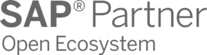 Partners-SAP-Paraguay